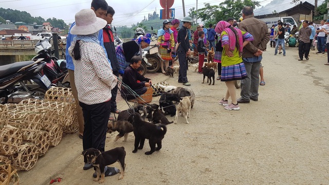 Những phiên chợ chỉ bán một món hàng duy nhất ở vùng cao Tây Bắc - 5 Những phiên chợ chỉ bán một món hàng duy nhất ở vùng cao Tây Bắc - 5