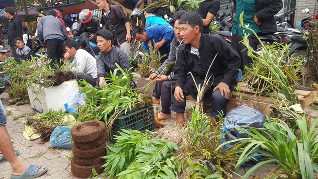Những phiên chợ chỉ bán một món hàng duy nhất ở vùng cao Tây Bắc - 15 Những phiên chợ chỉ bán một món hàng duy nhất ở vùng cao Tây Bắc - 15