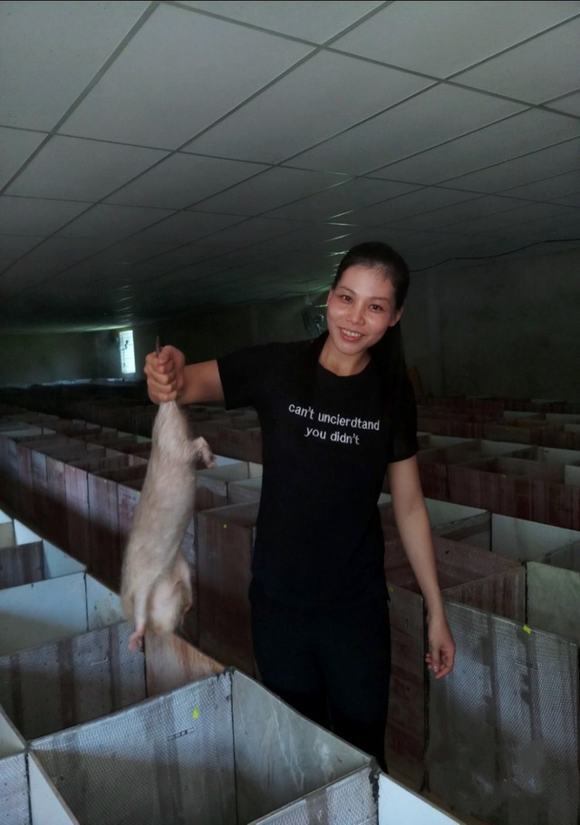 Trang trại nuôi dúi của cử nhân 8X ở Quảng Nam Trang trại nuôi dúi của cử nhân 8X ở Quảng Nam