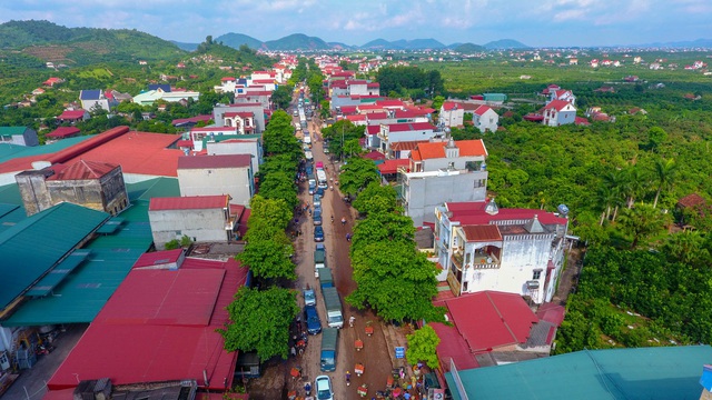 Vải thiều Bắc Giang vào chính vụ - 15 Vải thiều Bắc Giang vào chính vụ - 15