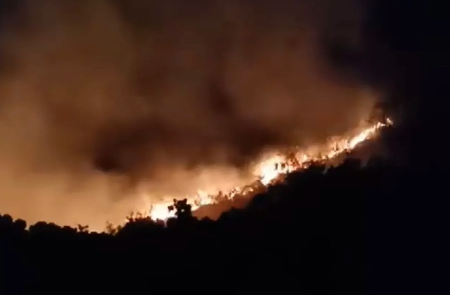 Cháy lớn trên bán đảo Sơn Trà - 2