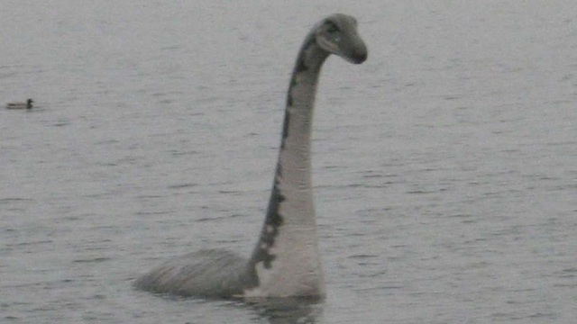 Phân tích DNA từ hồ Loch Ness để tìm “quái vật” huyền thoại - 1 Phân tích DNA từ hồ Loch Ness để tìm “quái vật” huyền thoại - 1