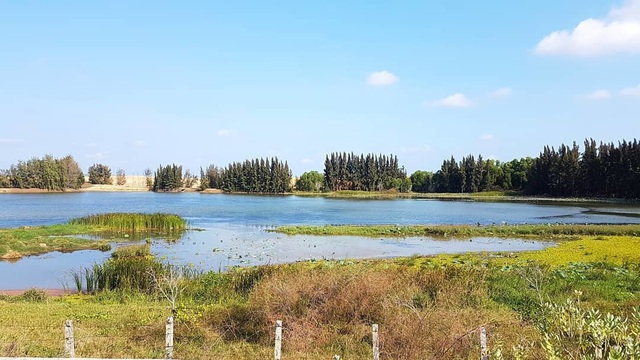 Khám phá Bàu Trắng – nơi được mệnh danh là “sa mạc Sahara ở Việt Nam” - 3 Khám phá Bàu Trắng – nơi được mệnh danh là “sa mạc Sahara ở Việt Nam” - 3