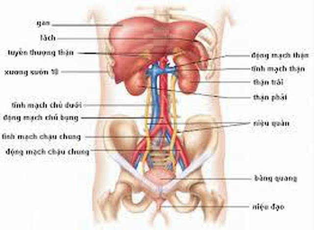 Cần làm gì khi bị cơn đau vùng bụng? - 3 Cần làm gì khi bị cơn đau vùng bụng? - 3