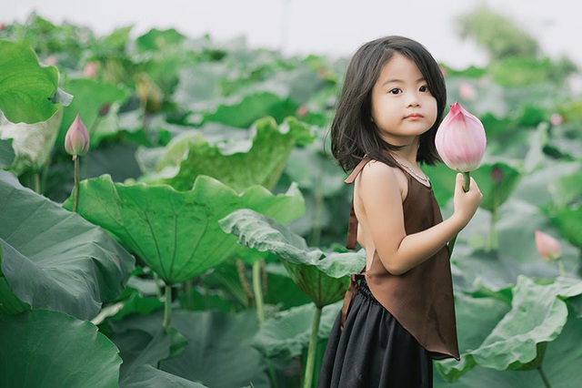 Bé gái Bắc Ninh xinh như thiên thần bên hoa sen - 5 Bé gái Bắc Ninh xinh như thiên thần bên hoa sen - 5