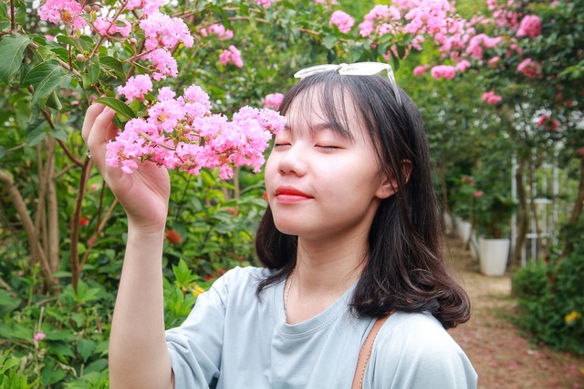 Phát sốt với con đường hoa tường vi đẹp như mơ ở Hà Nội - 10 Phát sốt với con đường hoa tường vi đẹp như mơ ở Hà Nội - 10