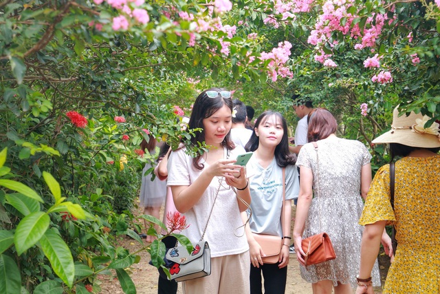Phát sốt với con đường hoa tường vi đẹp như mơ ở Hà Nội - 3 Phát sốt với con đường hoa tường vi đẹp như mơ ở Hà Nội - 3