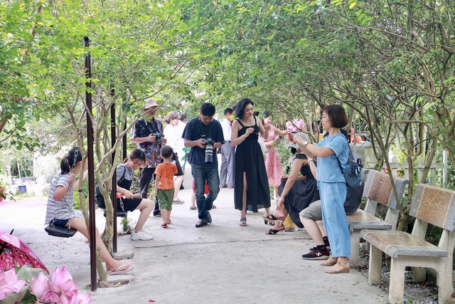 Phát sốt với con đường hoa tường vi đẹp như mơ ở Hà Nội - 5 Phát sốt với con đường hoa tường vi đẹp như mơ ở Hà Nội - 5