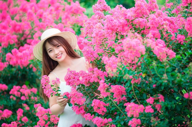 Phát sốt với con đường hoa tường vi đẹp như mơ ở Hà Nội - 6 Phát sốt với con đường hoa tường vi đẹp như mơ ở Hà Nội - 6