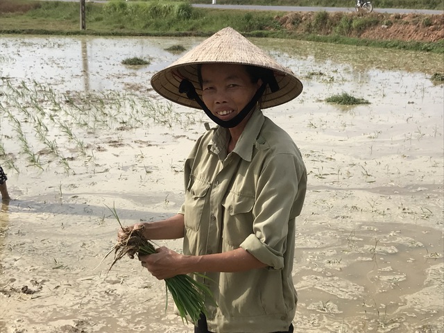 Miền Trung hạn hán kéo dài, đập cạn, người khát, ruộng khô - 16 Miền Trung hạn hán kéo dài, đập cạn, người khát, ruộng khô - 16