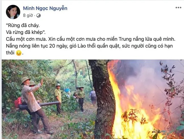 Kh&oacute;c c&ugrave;ng b&agrave;i thơ Rừng ơi, đừng ch&aacute;y nữa! của c&ocirc; gi&aacute;o dạy Sử - 2
