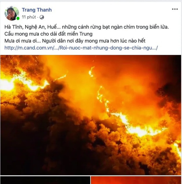 Kh&oacute;c c&ugrave;ng b&agrave;i thơ Rừng ơi, đừng ch&aacute;y nữa! của c&ocirc; gi&aacute;o dạy Sử - 3