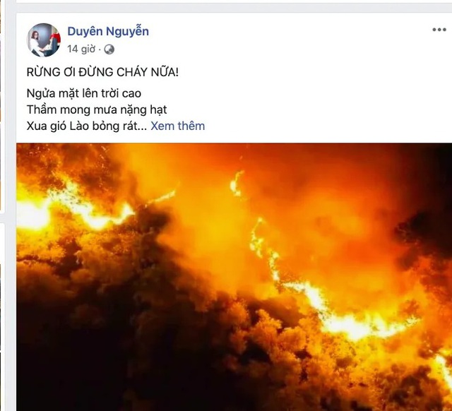 Kh&oacute;c c&ugrave;ng b&agrave;i thơ Rừng ơi, đừng ch&aacute;y nữa! của c&ocirc; gi&aacute;o dạy Sử - 1