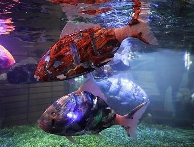 5 robot động vật si&ecirc;u đ&aacute;ng y&ecirc;u v&agrave; hữu &iacute;ch