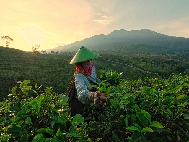 Vẻ đẹp lao động của Việt Nam trong những khoảnh khắc của thế giới - 10 Vẻ đẹp lao động của Việt Nam trong những khoảnh khắc của thế giới - 10