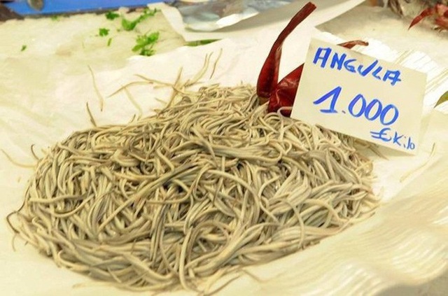 Con ngoe nguẩy từng chỉ làm thức ăn cho gà, lợn, nay giá đắt ngang... xe máy - 10 Con ngoe nguẩy từng chỉ làm thức ăn cho gà, lợn, nay giá đắt ngang... xe máy - 10