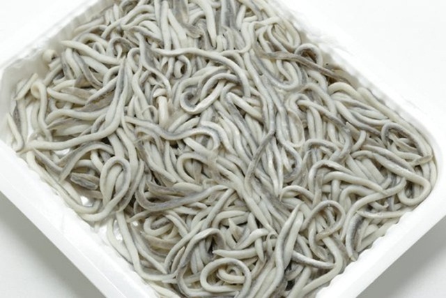 Con ngoe nguẩy từng chỉ làm thức ăn cho gà, lợn, nay giá đắt ngang... xe máy - 7 Con ngoe nguẩy từng chỉ làm thức ăn cho gà, lợn, nay giá đắt ngang... xe máy - 7
