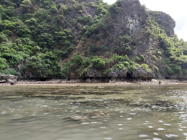 Đến Hạ Long thử trải nghiệm chèo thuyền kayak và ngủ đêm trên du thuyền - 7 Đến Hạ Long thử trải nghiệm chèo thuyền kayak và ngủ đêm trên du thuyền - 7