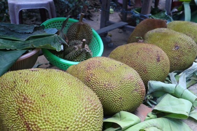 Kh&aacute;m ph&aacute; l&agrave;ng Đại B&igrave;nh