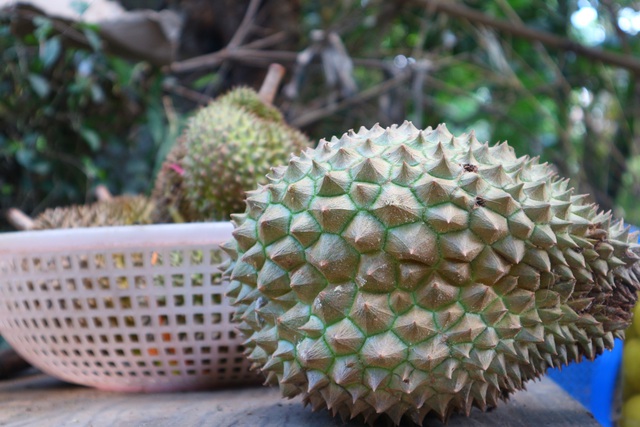 Kh&aacute;m ph&aacute; l&agrave;ng Đại B&igrave;nh