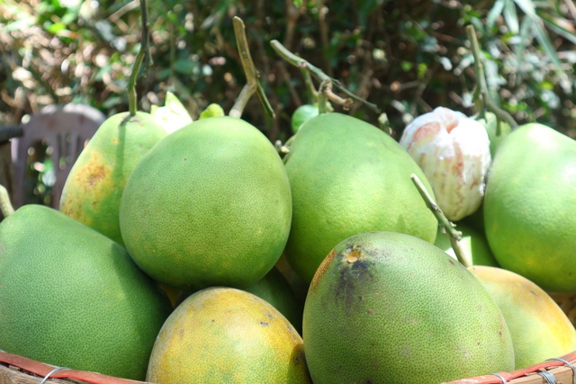 Kh&aacute;m ph&aacute; l&agrave;ng Đại B&igrave;nh