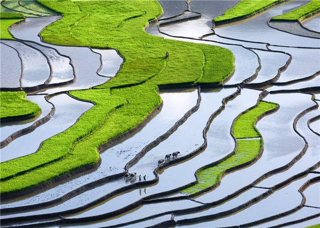 Lặng người trước những khoảnh khắc chạm đến trái tim! - 8 Lặng người trước những khoảnh khắc chạm đến trái tim! - 8