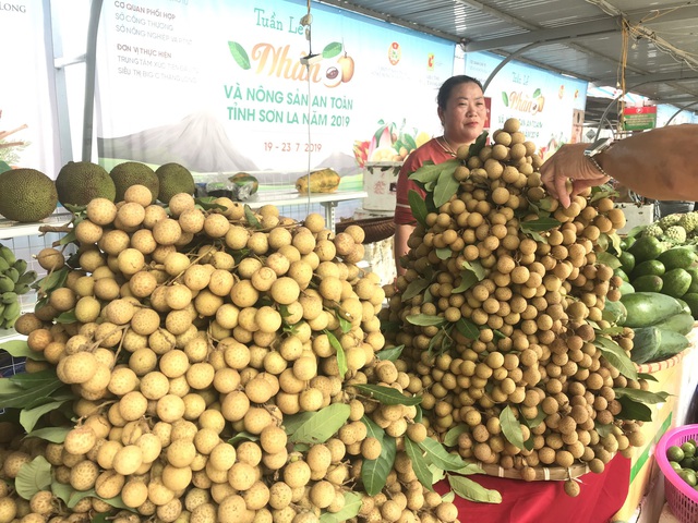 Vải Lục Ngạn, nhãn Sơn La vượt xa vải thiều Thanh Hà, nhãn lồng Hưng Yên? - 3 Vải Lục Ngạn, nhãn Sơn La vượt xa vải thiều Thanh Hà, nhãn lồng Hưng Yên? - 3