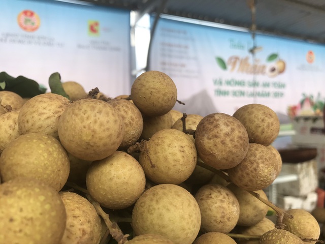Vải Lục Ngạn, nhãn Sơn La vượt xa vải thiều Thanh Hà, nhãn lồng Hưng Yên? - 4 Vải Lục Ngạn, nhãn Sơn La vượt xa vải thiều Thanh Hà, nhãn lồng Hưng Yên? - 4