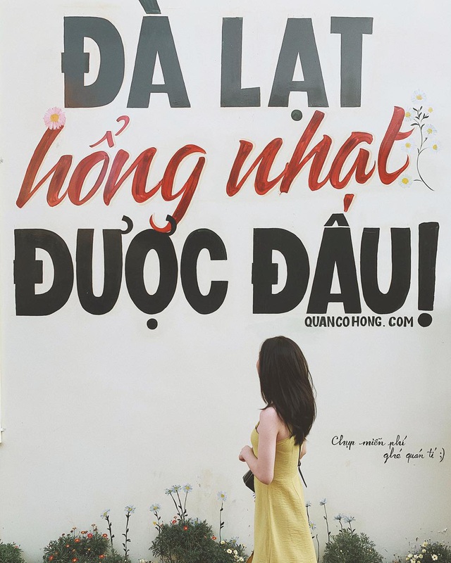 Độc đáo những bức tường “sống ảo”, nhất định phải check-in khi đến Đà Lạt - 1 Độc đáo những bức tường “sống ảo”, nhất định phải check-in khi đến Đà Lạt - 1