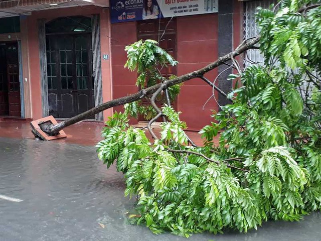 Sau bão, nhiều tuyến đường Thái Bình chìm trong nước - 6