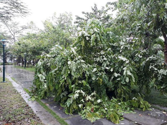 Sau bão, nhiều tuyến đường Thái Bình chìm trong nước - 8