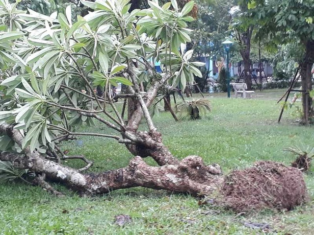 Sau bão, nhiều tuyến đường Thái Bình chìm trong nước - 7