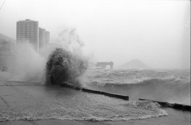 16 bức ảnh về trận bão lịch sử 40 năm trước ở Hồng Kong - 12