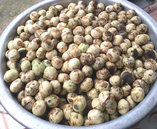 85.000 đồng/kg cherry tại Mỹ, h&agrave;ng rẻ ồ ạt về Việt Nam - 1