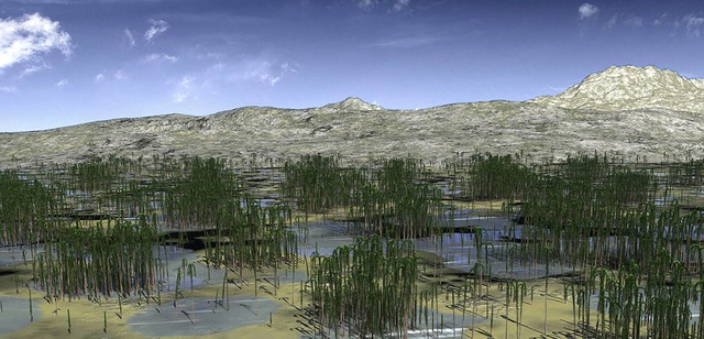 Phát hiện khu rừng hóa thạch 419 triệu năm tuổi ở Trung Quốc - 1