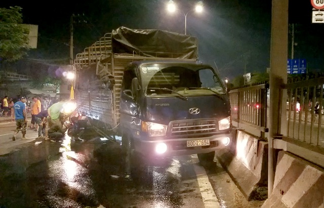 Hơn 100 người giúp tài xế gom 2,7 tấn cá bị đổ tràn trên quốc lộ - 1