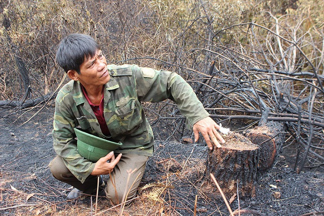 Người đàn ông đặc biệt cứu rừng ở Hà Tĩnh được Chủ tịch tỉnh tặng bằng khen - 1