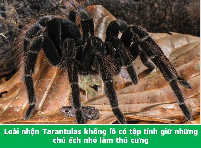 Đi từ ngạc nhiên này đến ngạc nhiên khác với những điều lý thú về vạn vật - 3 Đi từ ngạc nhiên này đến ngạc nhiên khác với những điều lý thú về vạn vật - 3