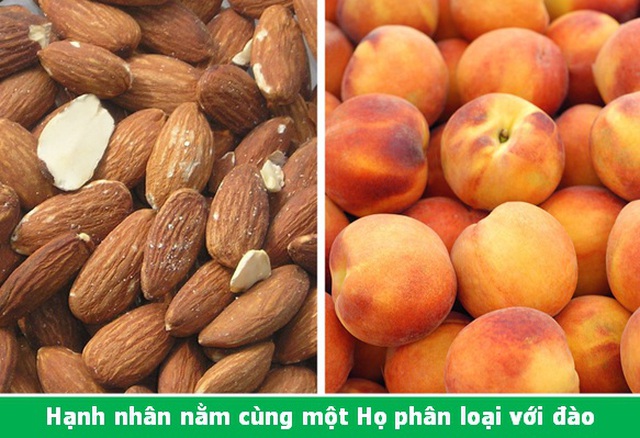 Đi từ ngạc nhiên này đến ngạc nhiên khác với những điều lý thú về vạn vật - 4 Đi từ ngạc nhiên này đến ngạc nhiên khác với những điều lý thú về vạn vật - 4