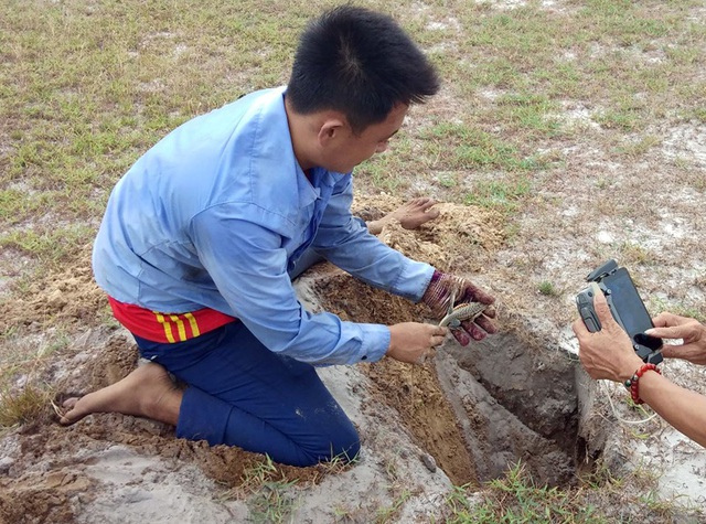 Theo chân thợ săn đào cát tìm hang, truy bắt thực phẩm tình yêu - 9 Theo chân thợ săn đào cát tìm hang, truy bắt thực phẩm tình yêu - 9