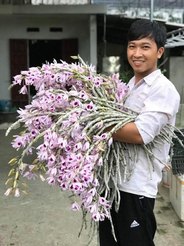 Mất trộm lan Phi Điệp đột biến 5 cánh trắng 2 tỷ rúng động Phú Thọ - 1 Mất trộm lan Phi Điệp đột biến 5 cánh trắng 2 tỷ rúng động Phú Thọ - 1