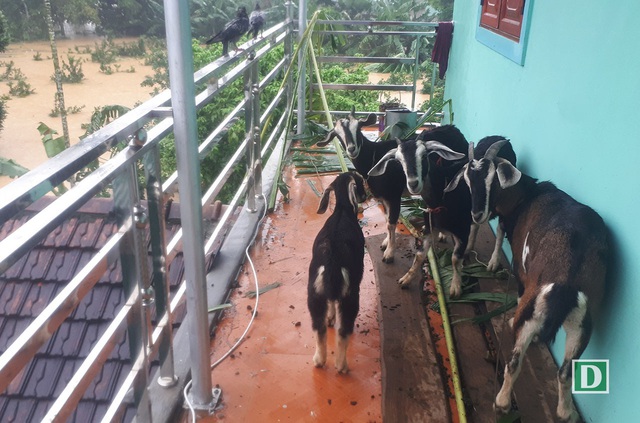 Ám ảnh những ngôi làng chìm sâu trong biển nước - 18