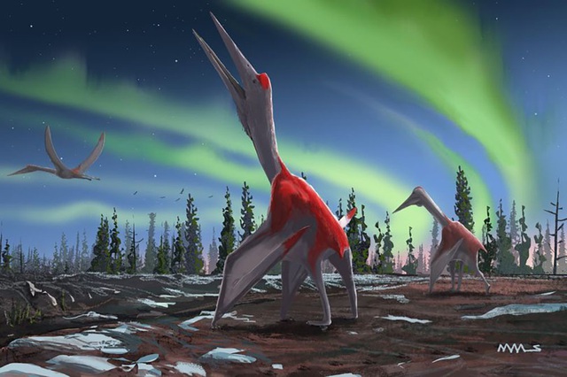 Phát hiện hoá thạch loài động vật biết bay lớn nhất từng sống trên Trái Đất - 1