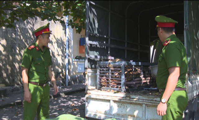 Triệt phá đường dây chuyên mua bán hổ từ Nghệ An ra Quảng Ninh để nấu cao - 1