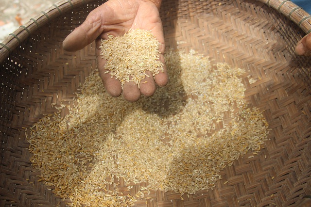Cối xay lúa bằng tre “hồi sinh” sau nhiều thập kỷ bị lãng quên - 6 Cối xay lúa bằng tre “hồi sinh” sau nhiều thập kỷ bị lãng quên - 6