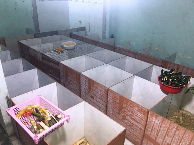 Nu&ocirc;i d&uacute;i bằng m&aacute;y lạnh, nam sinh vi&ecirc;n &ldquo;bỏ t&uacute;i&rdquo; 40 triệu đồng/th&aacute;ng - 6