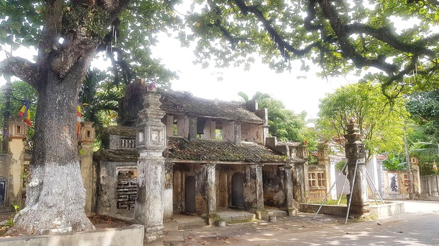 Ngôi chùa cổ có 2 cây di sản đầu tiên ở Ninh Bình - 2 Ngôi chùa cổ có 2 cây di sản đầu tiên ở Ninh Bình - 2