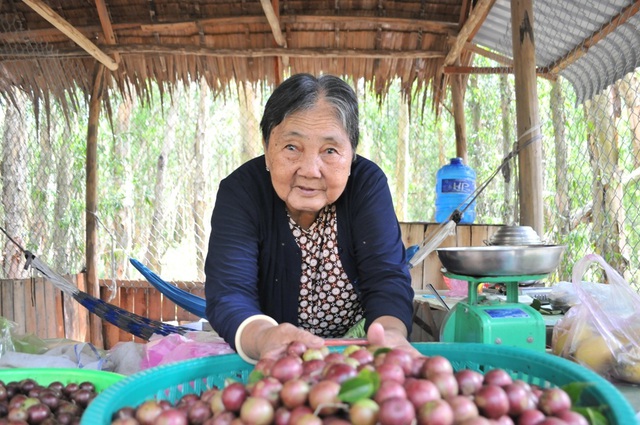 Rừng tràm Trà Sư có gì cuốn hút vào mùa nước nổi? - 15 Rừng tràm Trà Sư có gì cuốn hút vào mùa nước nổi? - 15