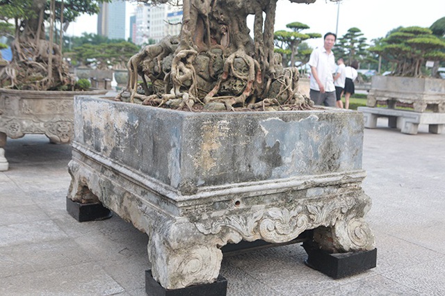 Sanh “Ngai vàng đất Việt” mua 10 triệu đồng, sau 15 năm trả vài tỷ không bán - 13 Sanh “Ngai vàng đất Việt” mua 10 triệu đồng, sau 15 năm trả vài tỷ không bán - 13
