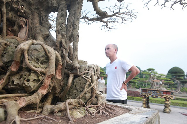Sanh “Ngai vàng đất Việt” mua 10 triệu đồng, sau 15 năm trả vài tỷ không bán - 4 Sanh “Ngai vàng đất Việt” mua 10 triệu đồng, sau 15 năm trả vài tỷ không bán - 4